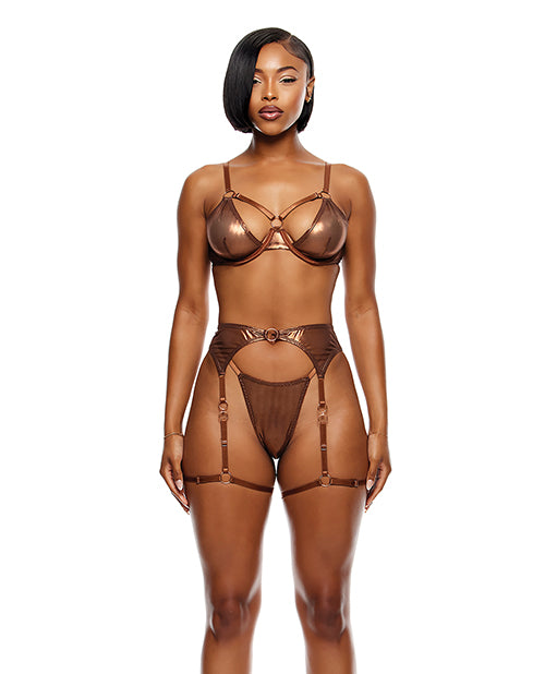 Liquid Metal Metallic Mesh Underwire Bra w/Garter Belt & G-String 3 pc Set