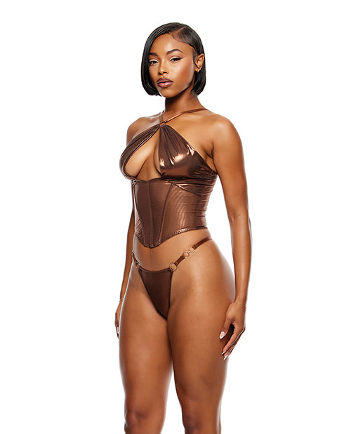 Liquid Metal Metallic Mesh Bustier w/G-String 2 pc Set