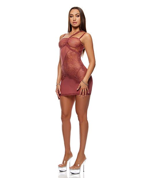 Patch of Petals Sheer Mesh and Lace Chemise w/Thong